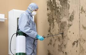 Best Mold Prevention Services  in Dobson, NC